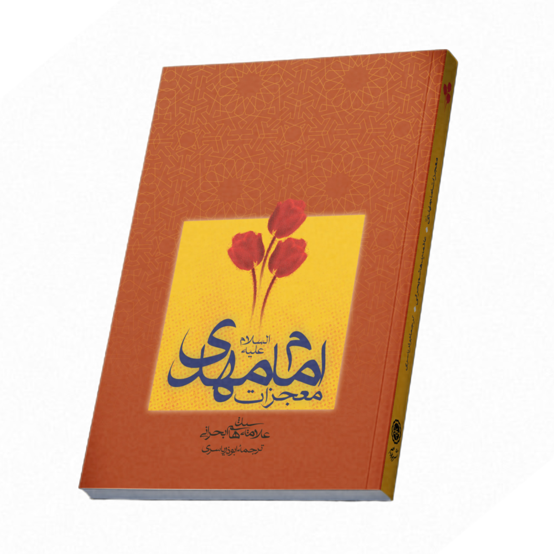 معجزات-امام-مهدی-عج